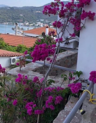 Veranda Blue - Poros Apartment Poros Town Екстериор снимка